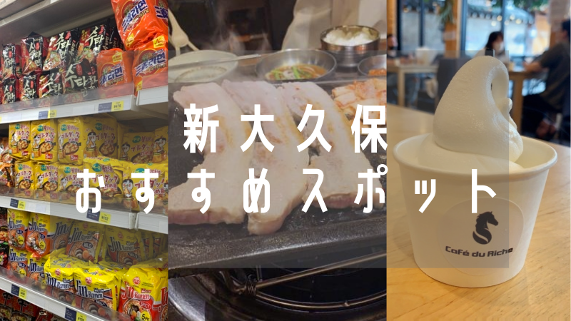 新大久保のおすすめスポットと韓国スーパーの買うべき商品まとめてみたよ いいおんなブログ